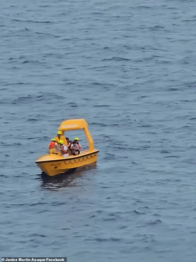 Hero Dad Jumps Into Ocean to Save Daughter from Disney Cruise Ship