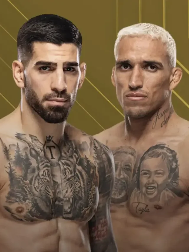 UFC 317